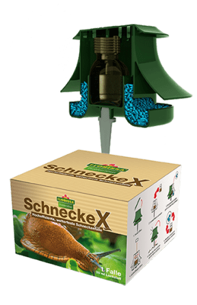 schnecke-x-querschnitt_290x445